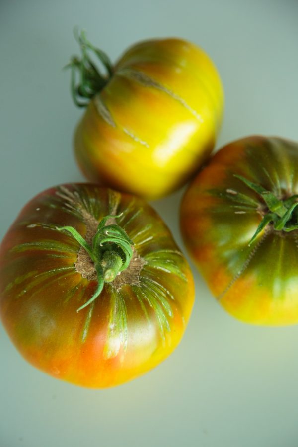 TOMAT 'Ananori' ('Ananas Noire') - Bild 2