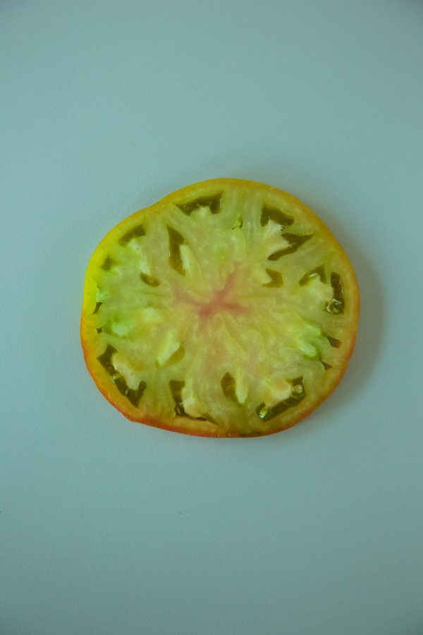 TOMAT 'Ananori' ('Ananas Noire') - Bild 3